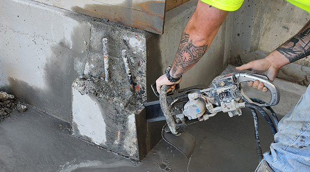 Chainsawing Project Photo